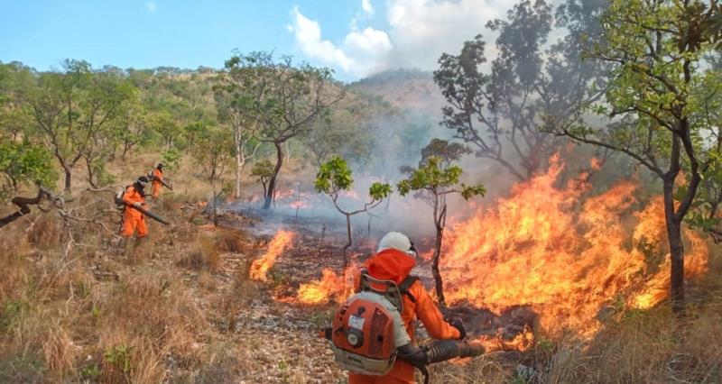 Incêndios em vegetação têm absorvido a maior parte do tempo dos Bombeiros de Guaxupé 