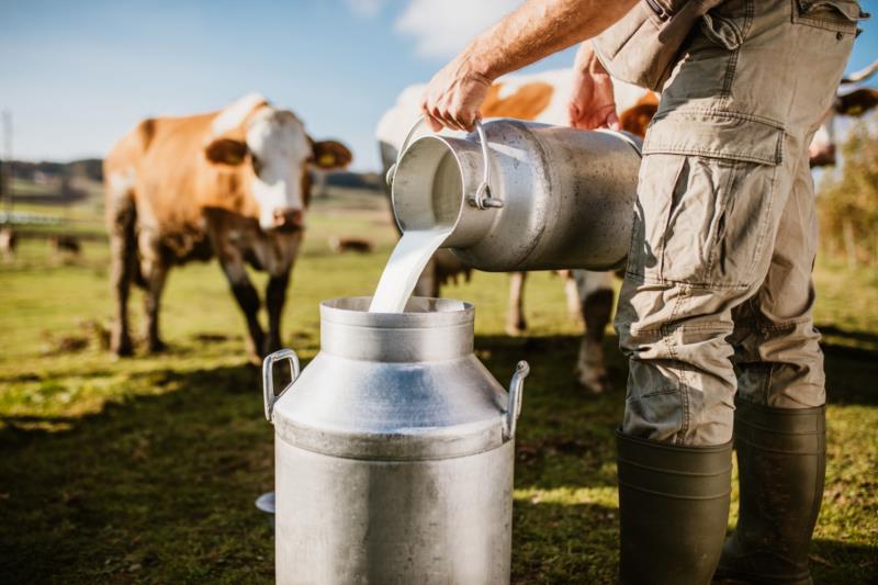 Cemig é condenada a indenizar pecuarista que perdeu produção de leite e queijo por falta de energia em Guaxupé 