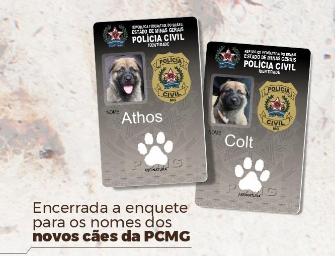 Confira o resultado da enquete que escolheu os nomes dos novos cães da Polícia Civil de Minas Gerais