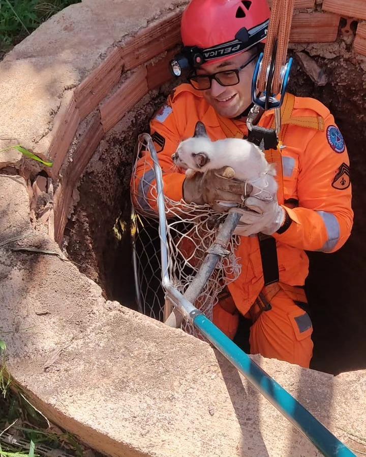 Em Guaxupé, gata é resgatada pelos Bombeiros após cair em poço desativado  