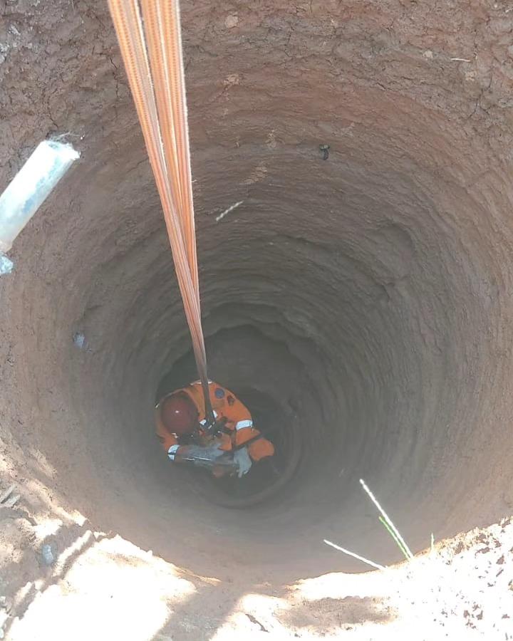 Em Guaxupé, gata é resgatada pelos Bombeiros após cair em poço desativado  