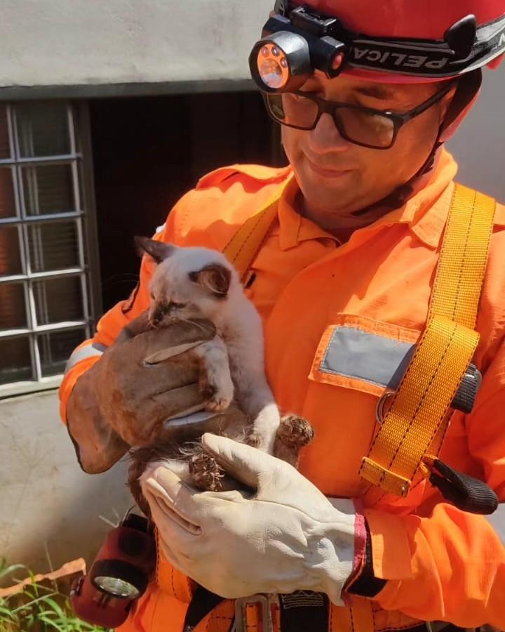 Em Guaxupé, gata é resgatada pelos Bombeiros após cair em poço desativado  