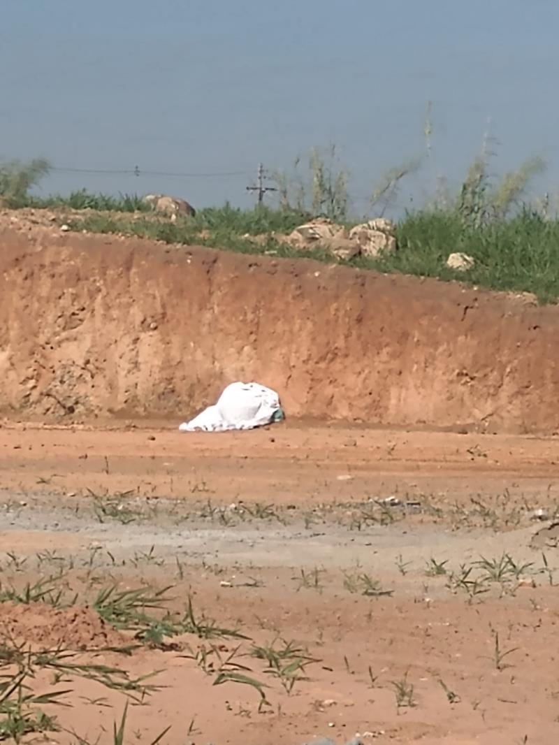 Corpo de homem é encontrado em terreno baldio em Guaranésia 