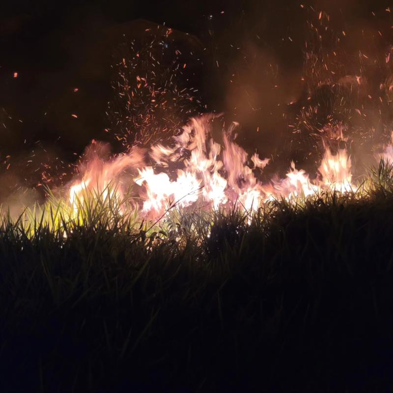 Incêndio criminoso em Guaxupé atinge grande área de vegetação na rodovia Jamil Nasser 