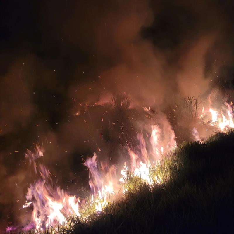 Incêndio criminoso em Guaxupé atinge grande área de vegetação na rodovia Jamil Nasser 