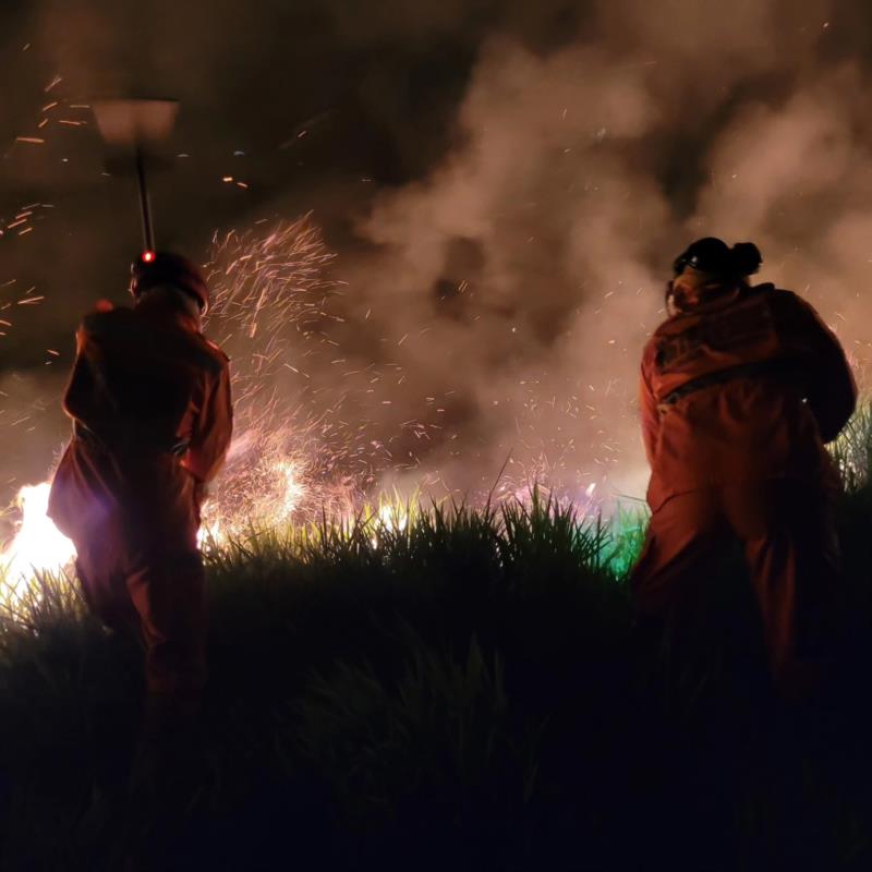 Incêndio criminoso em Guaxupé atinge grande área de vegetação na rodovia Jamil Nasser 