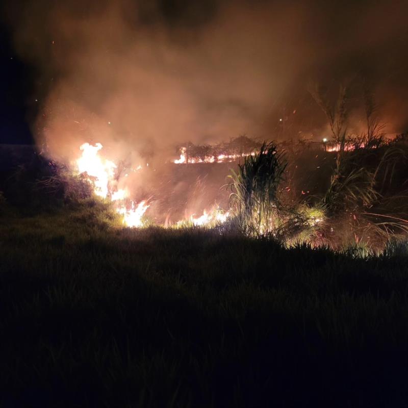 Incêndio criminoso em Guaxupé atinge grande área de vegetação na rodovia Jamil Nasser 