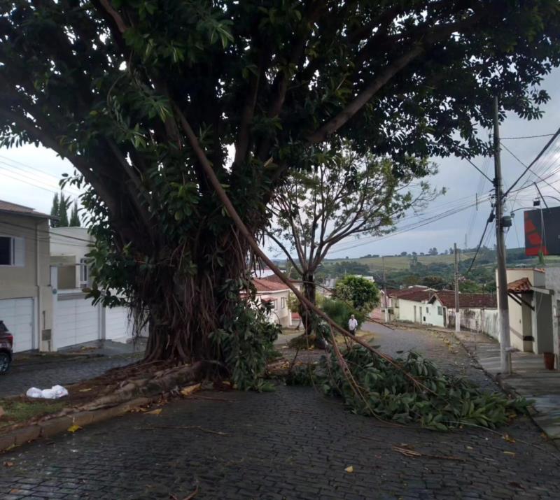 Vendaval seguido de chuva de granizo causa transtornos em vários bairros de Guaxupé 