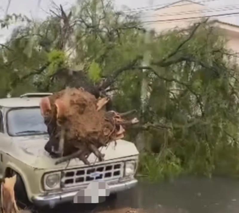 Vendaval seguido de chuva de granizo causa transtornos em vários bairros de Guaxupé 