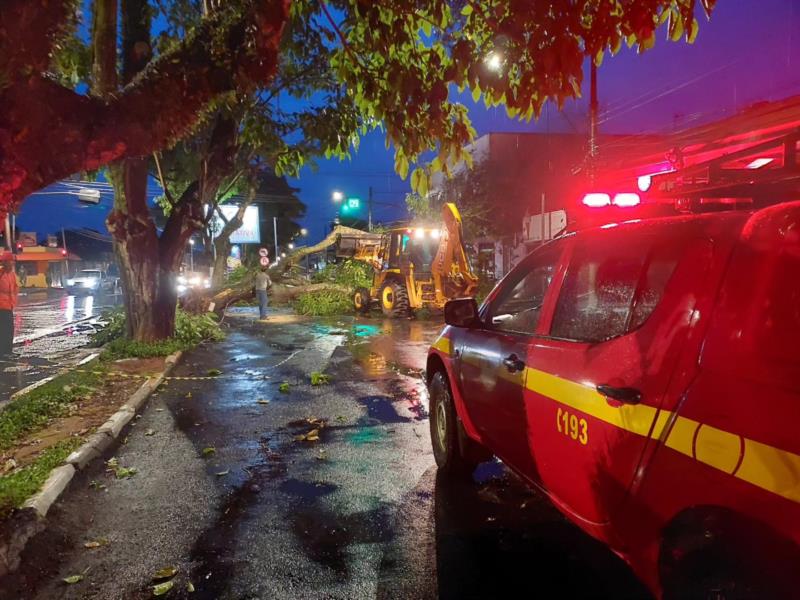 Vendaval provoca queda de árvores em vários bairros de Guaxupé 