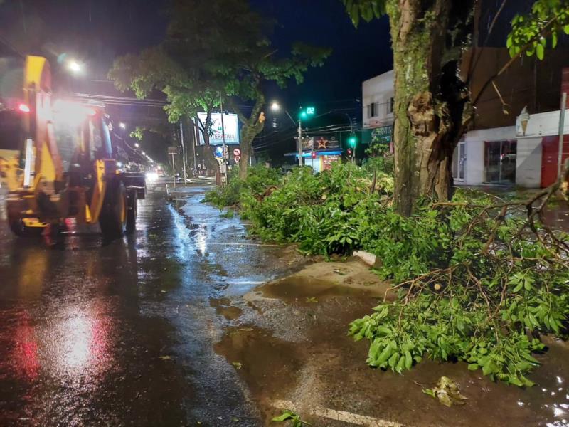 Vendaval provoca queda de árvores em vários bairros de Guaxupé 