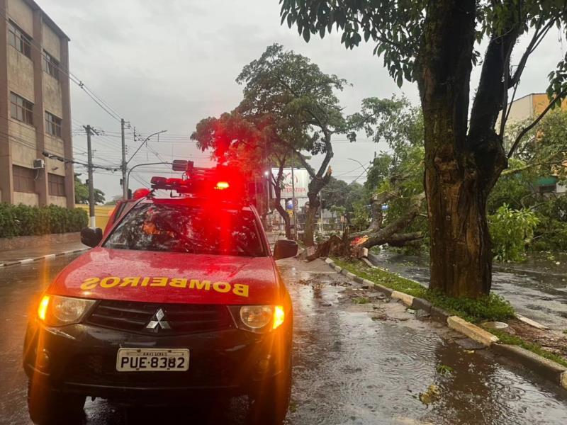 Vendaval provoca queda de árvores em vários bairros de Guaxupé 