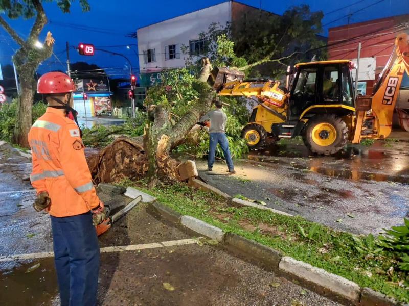 Vendaval provoca queda de árvores em vários bairros de Guaxupé 