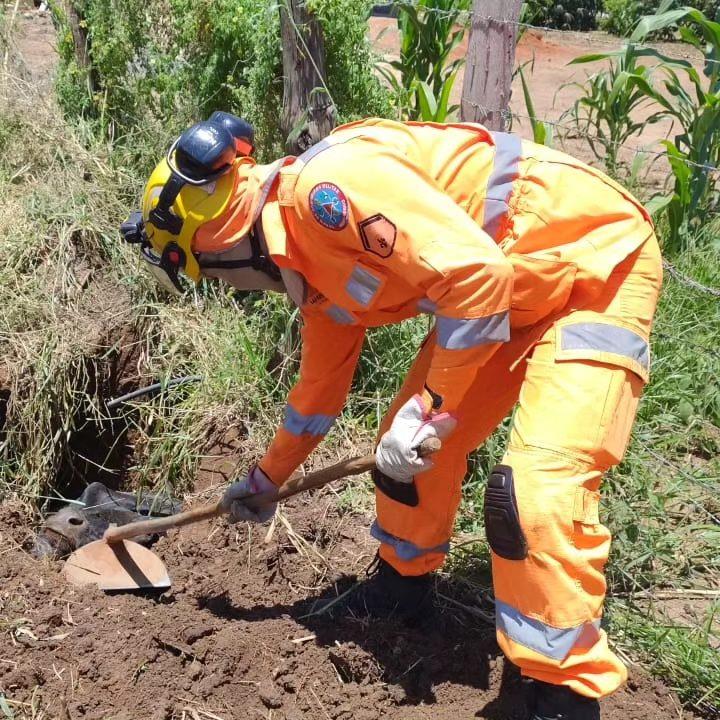 Vaca é resgatada de buraco de 1,5 m próximo a pesqueiro em Guaxupé 