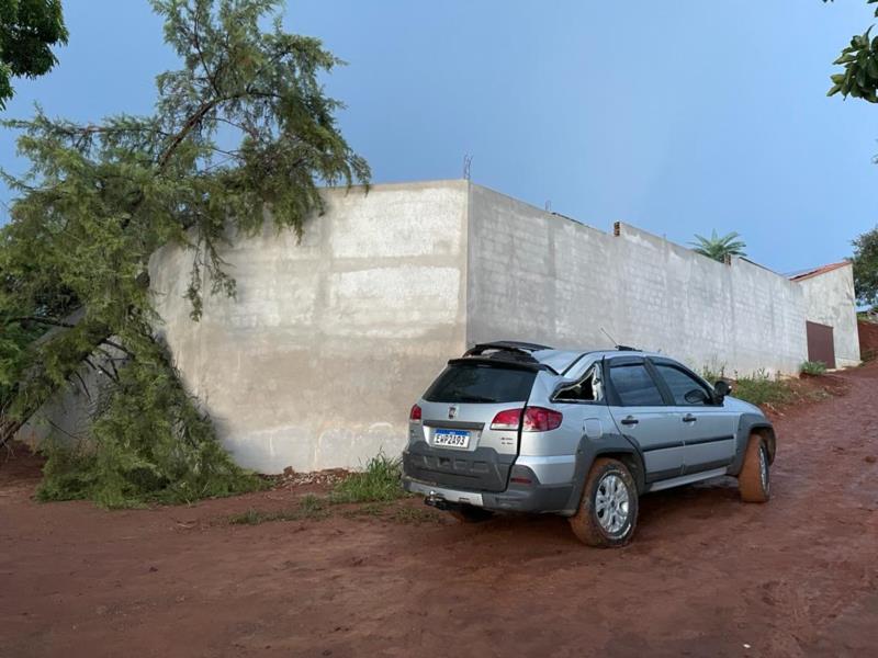 Árvore cai sobre um carro, derruba parte do muro e invade uma casa 