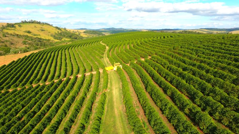 Fórum online da Cooxupé debaterá os impactos das condições climáticas na safra 2020-2021 do café