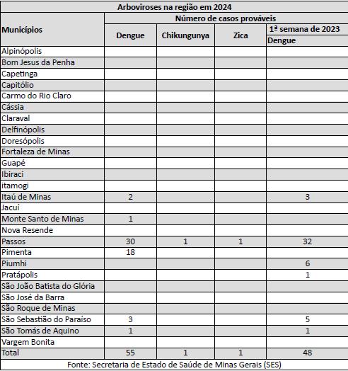 Com 30 casos prováveis de dengue, Passos ocupa a nona posição entre as cidades de Minas com maior número de registros da doença 