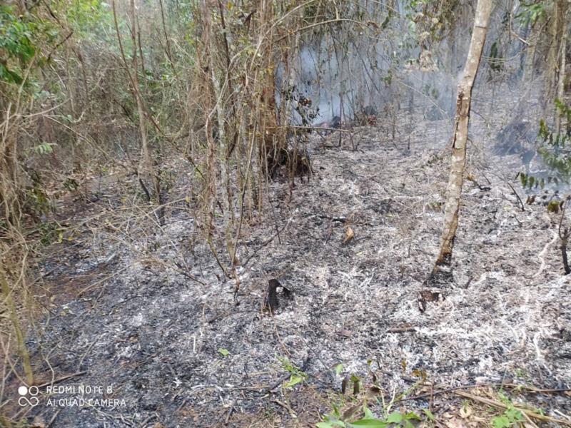 Bombeiros combatem incêndio no Sítio Pinheiros, em Guaxupé