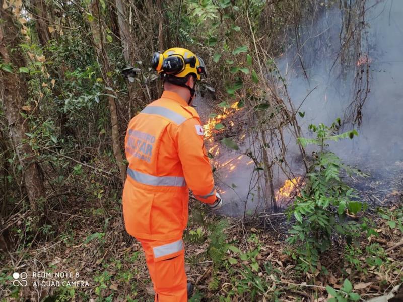 Bombeiros combatem incêndio no Sítio Pinheiros, em Guaxupé