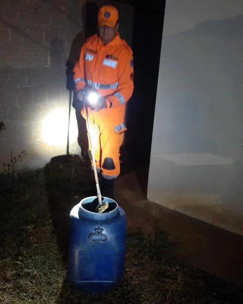 Bombeiros capturam Cascavel e Jiboia em Guaxupé 