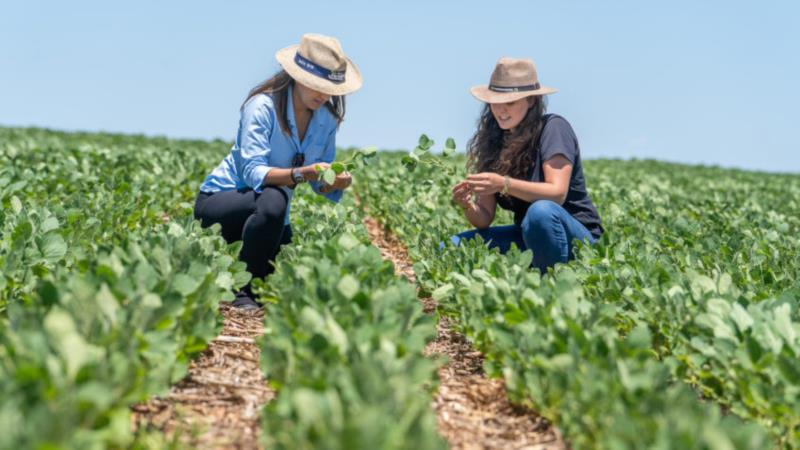 Dia da Mulher: Mulheres rompem barreiras e se destacam no agronegócio