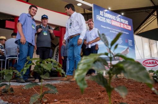 Femagri 2024 foca na sustentabilidade da produção de café