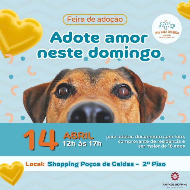 Domingo tem Feira de Adoção Pet no Shopping de Poços de Caldas