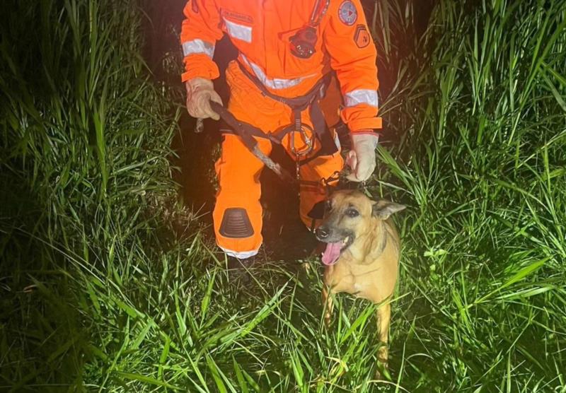 Cão em situação de risco é resgatado às margens do rio Guaxupé no Agenor de Lima 