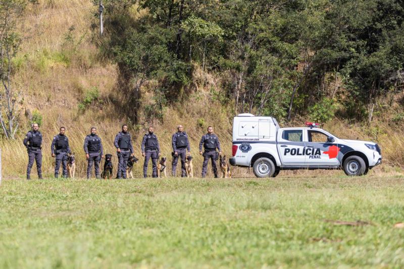 Cães farejadores da Polícia Penal aumentam a eficácia de operações contra às drogas em Minas