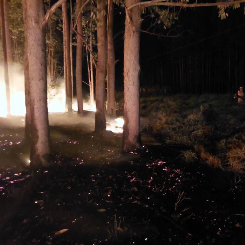 Bombeiros gastam mais de 10 mil litros de água para combater série de incêndios em vegetação em Muzambinho 