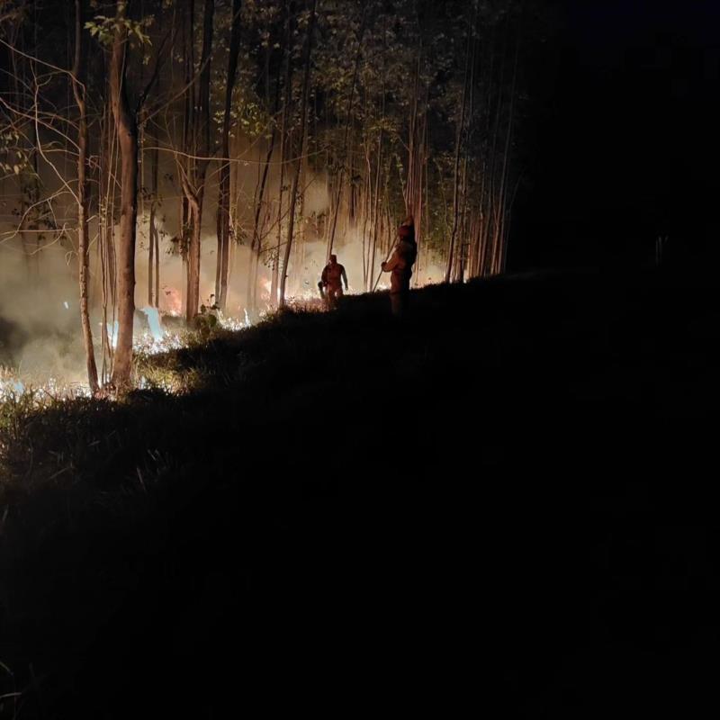 Bombeiros gastam mais de 10 mil litros de água para combater série de incêndios em vegetação em Muzambinho 