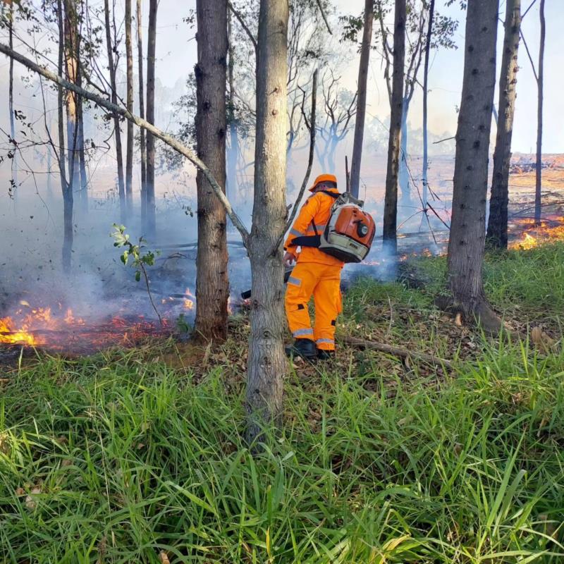 Bombeiros gastam mais de 10 mil litros de água para combater série de incêndios em vegetação em Muzambinho 