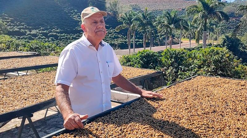 Café de Cabo Verde vendido para rede de cafeterias chinesa é fruto de tecnologia e sustentabilidade