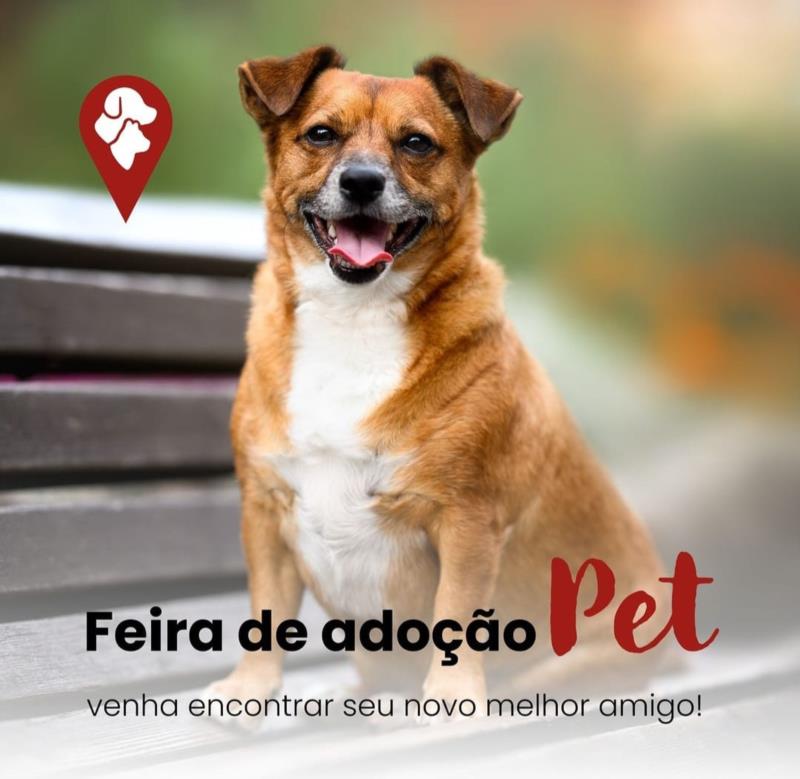 Domingo tem Feira de Adoção Pet no Shopping de Caldas