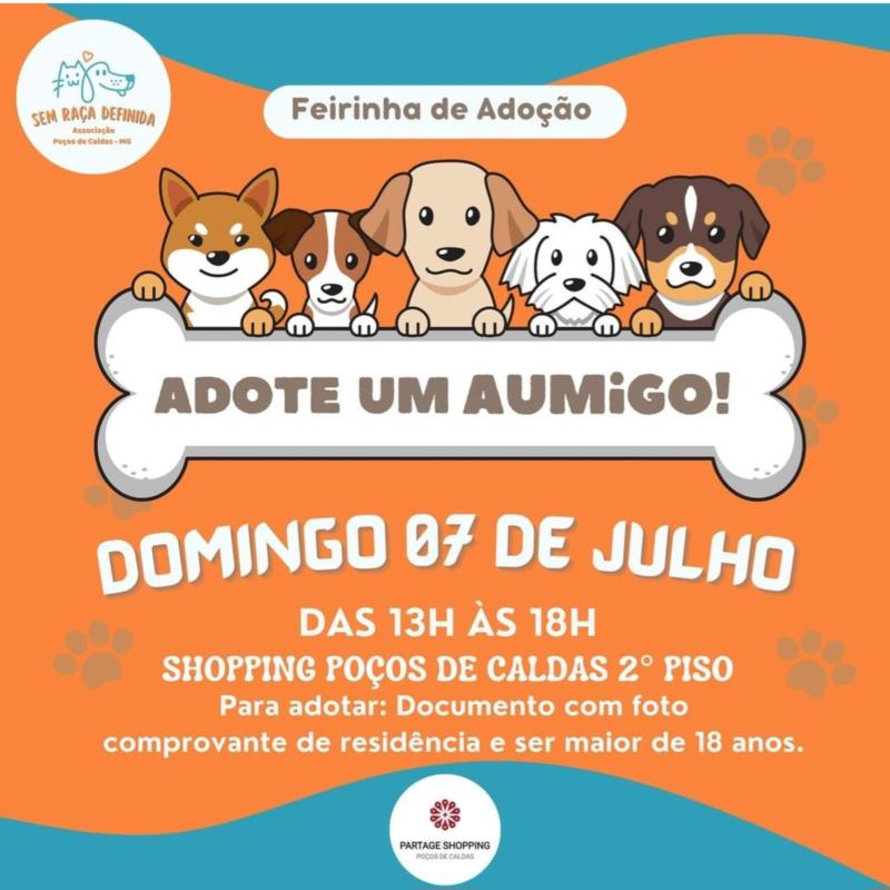 Domingo tem Feira de Adoção Pet no Shopping de Caldas