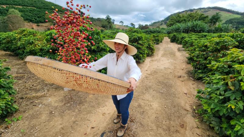 Cafeicultores incluídos no Certifica Minas terão redução de juros em linha do Plano Safra