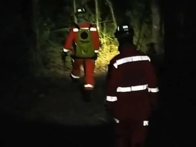 Bombeiros gastam mais de três horas para conter incêndio em vegetação em Guaxupé