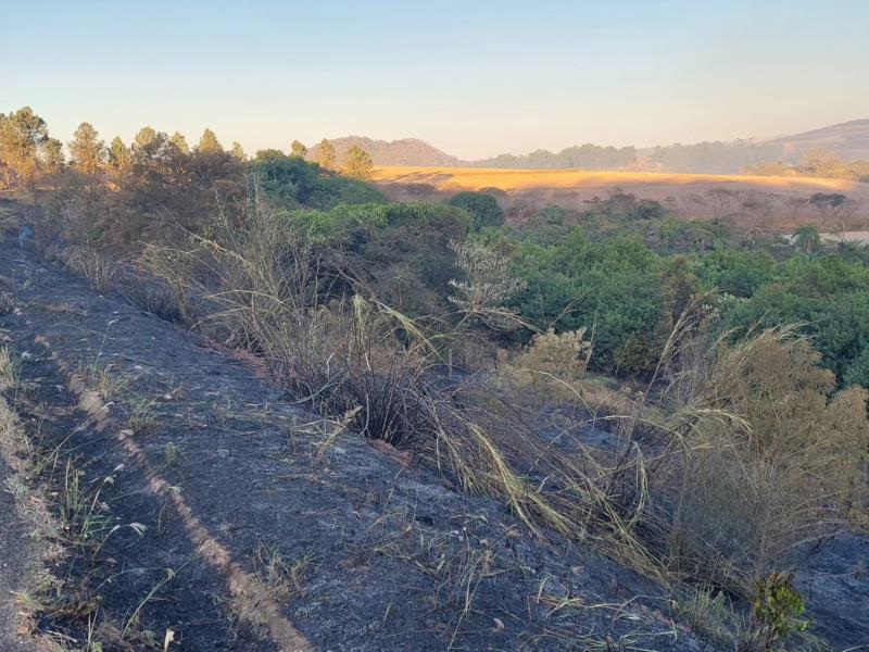 Incêndio destrói quase 10 hectares de vegetação em Guaxupé 