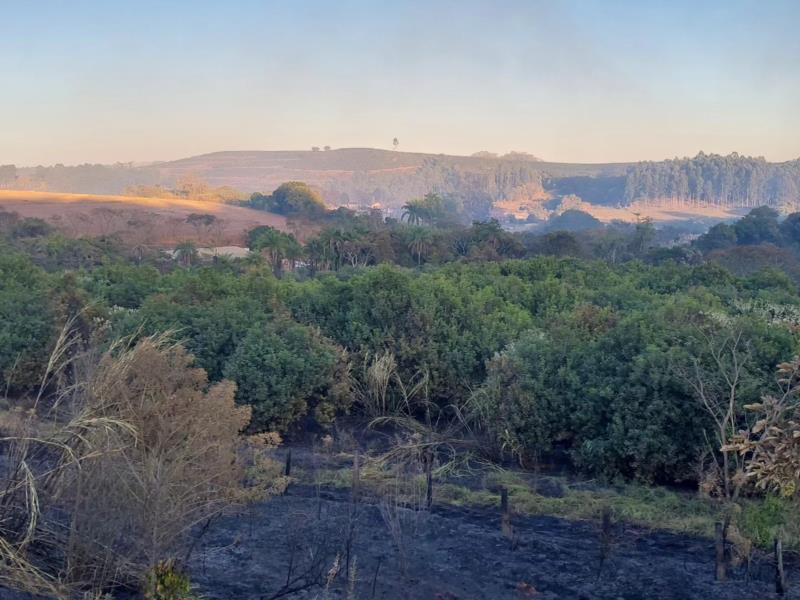 Incêndio destrói quase 10 hectares de vegetação em Guaxupé 