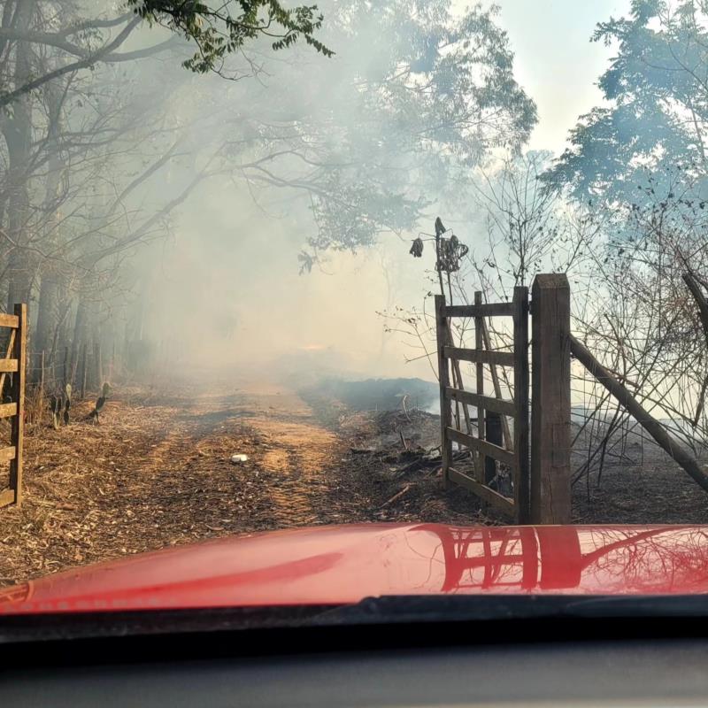 Mais três incêndios em vegetação foram combatidos pelos Bombeiros no domingo