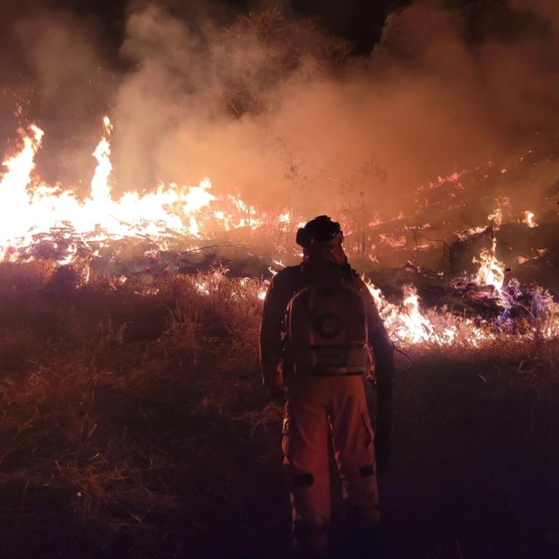 Mais três incêndios em vegetação foram combatidos pelos Bombeiros no domingo