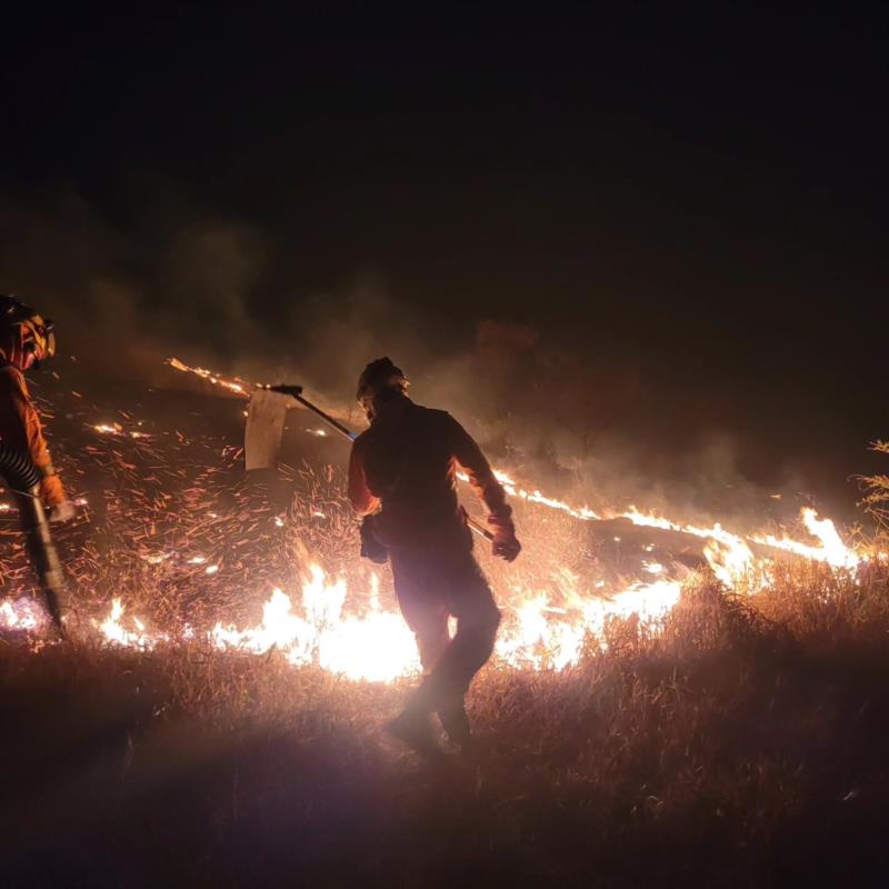 Mais três incêndios em vegetação foram combatidos pelos Bombeiros no domingo