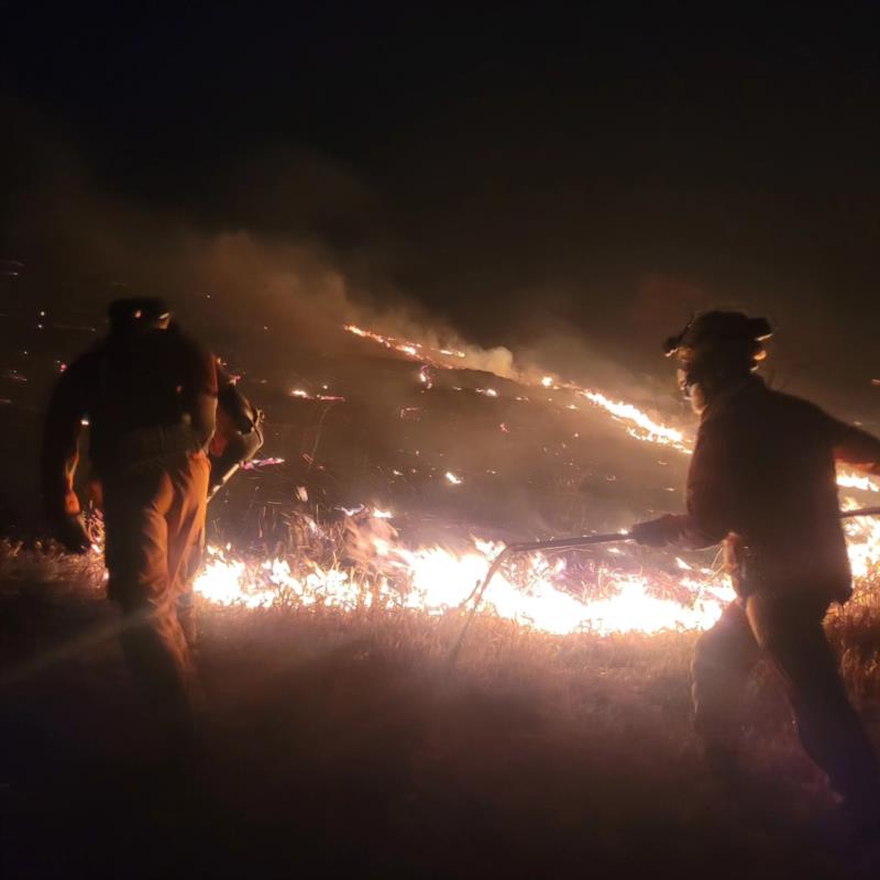 Mais três incêndios em vegetação foram combatidos pelos Bombeiros no domingo