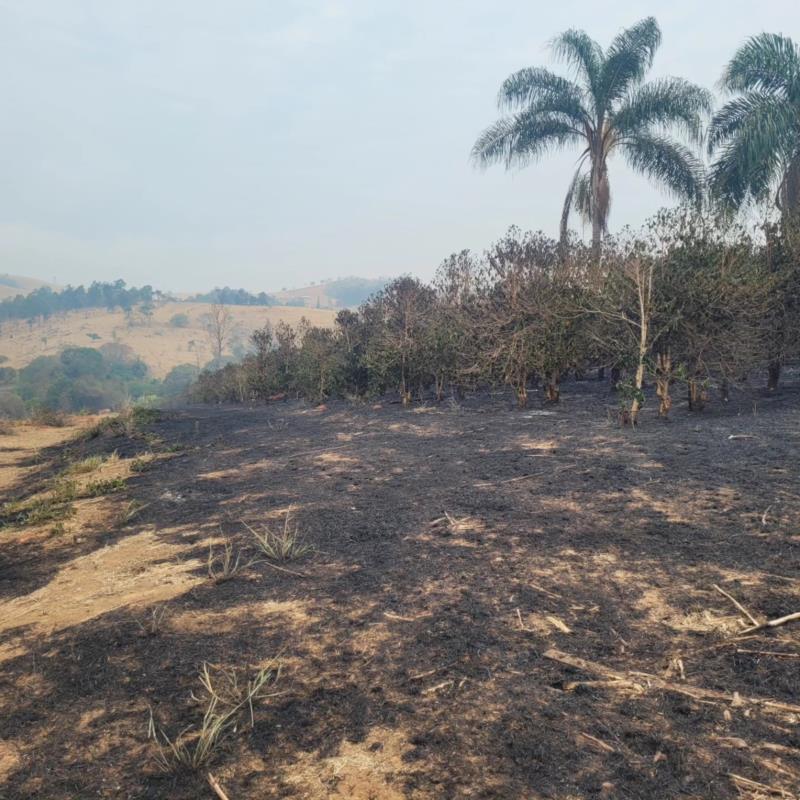 Mais três incêndios em vegetação foram combatidos pelos Bombeiros no domingo