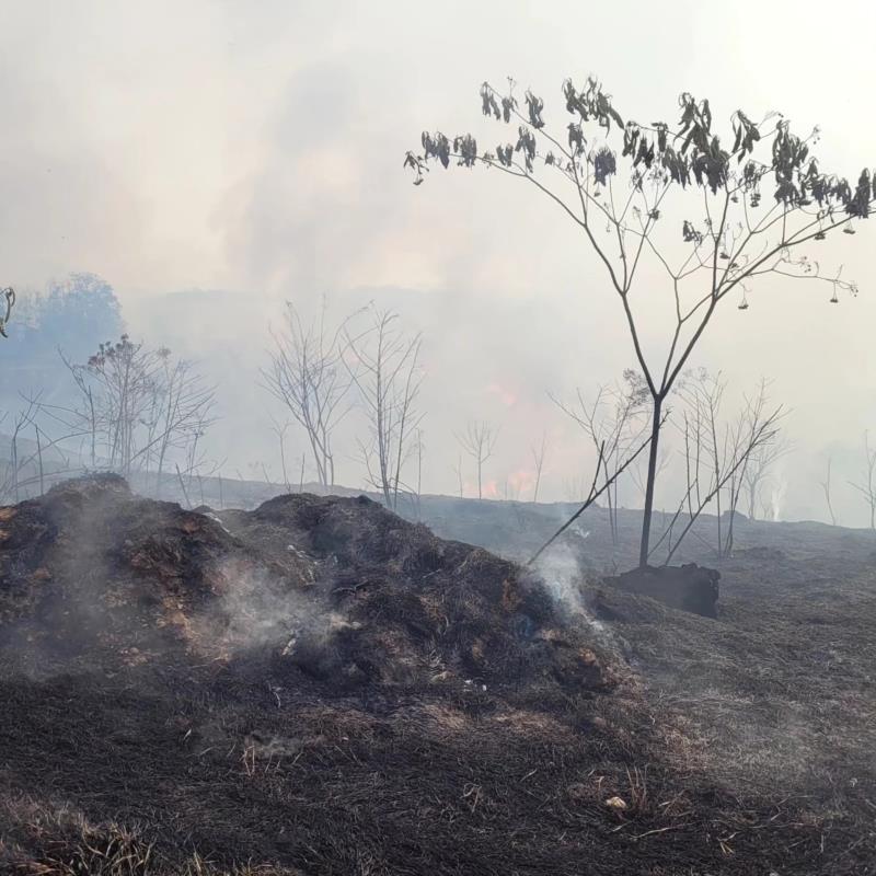 Mais três incêndios em vegetação foram combatidos pelos Bombeiros no domingo