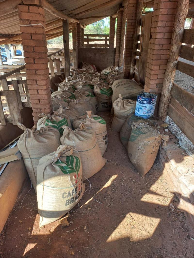 Homem de 30 anos é preso após roubar café e outros produtos em fazenda no Sul de Minas 