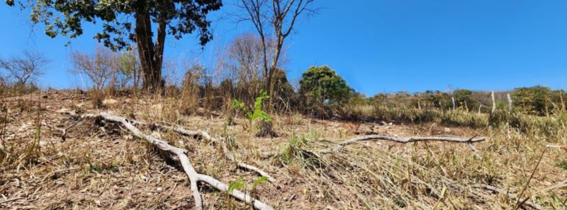 Produtor afetado pela seca em Minas poderá renegociar dívidas