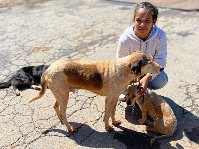 Governo investe em ações de proteção e bem-estar de animais domésticos