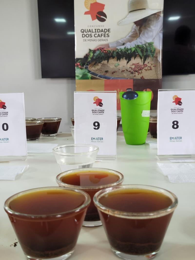 Emater-MG divulga classificados para a segunda etapa do Concurso de Qualidade dos Cafés de Minas Gerais 2024