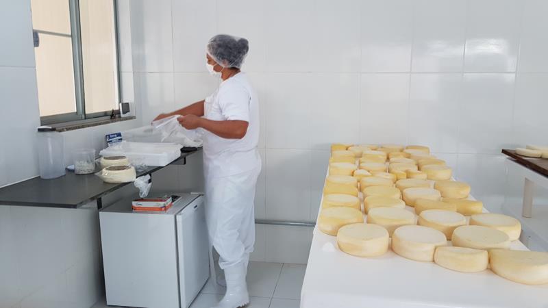 Emater-MG lança cartilha com o passo a passo das boas práticas de fabricação de queijos artesanais